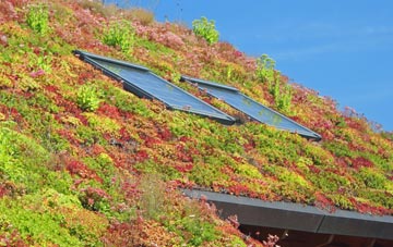 Cloddymoss living roof systems
