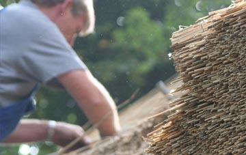 professional Cloddymoss thatchers